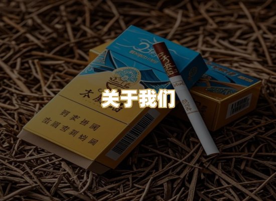 关于我们